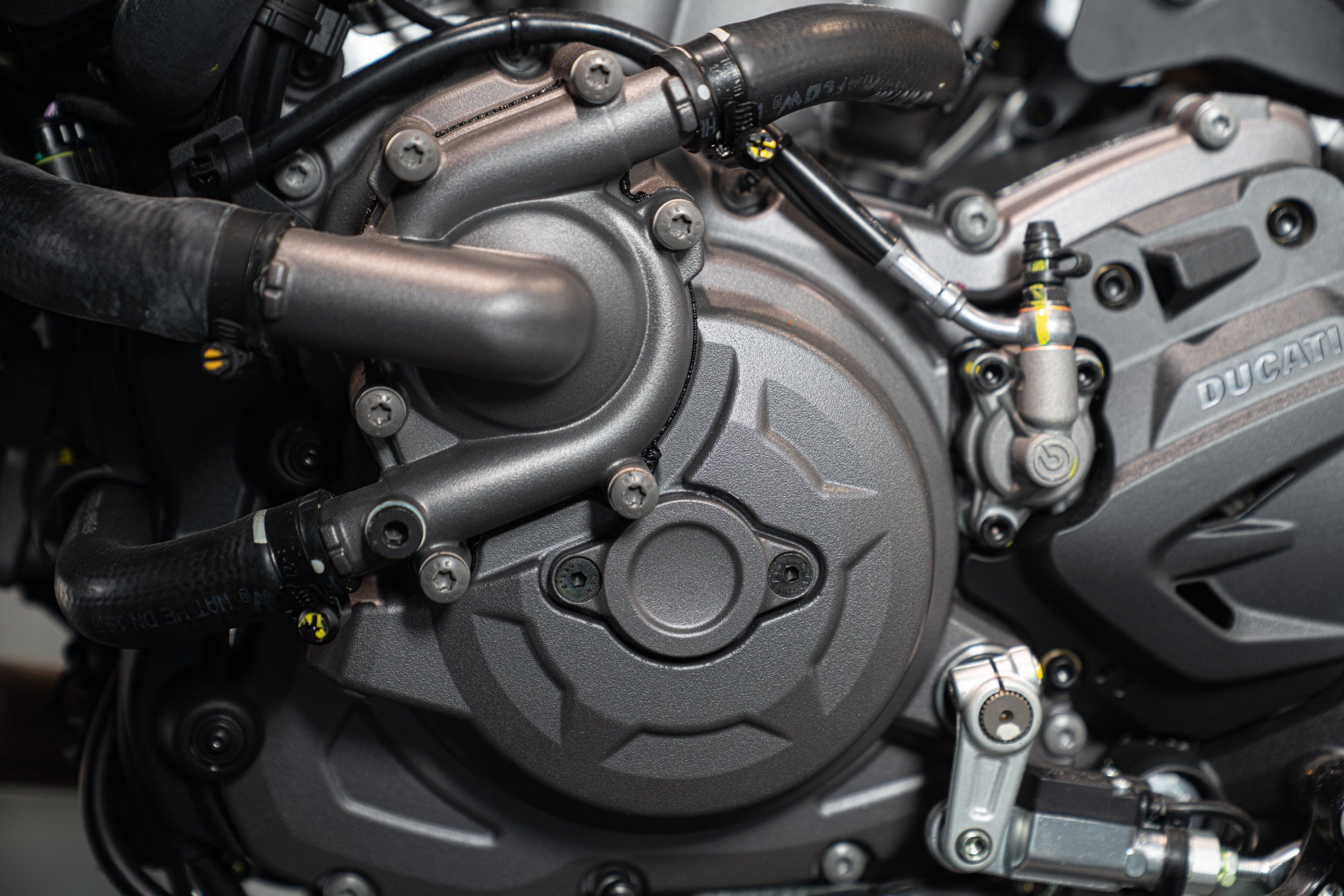 Ducati MONSTER 