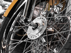 Mph Special The Champ 01 