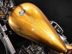 Mph Special The Champ 01 