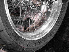 Mph Special The Champ 01 