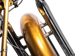 Mph Special The Champ 01 