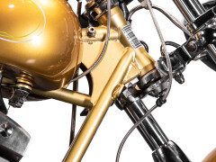 Mph Special The Champ 01 